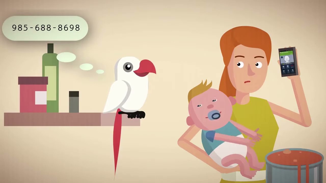 2D Animation Video 6